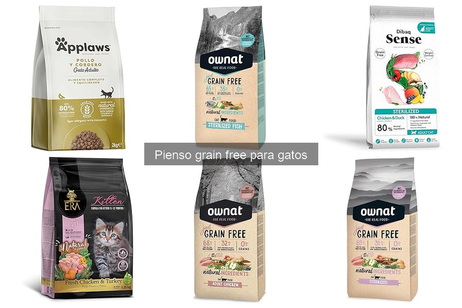 Problemas al Cambiar a Pienso Grain Free para Gatos