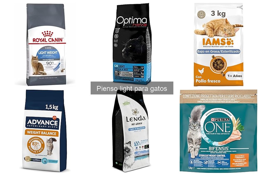 Problemas al Cambiar a Pienso Light para Gatos: Soluciones
