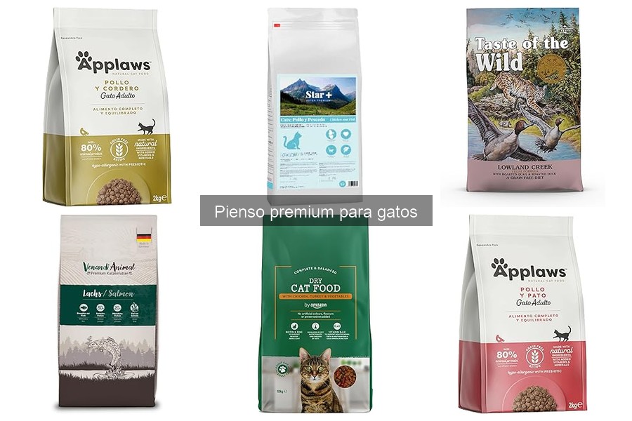 Problemas al cambiar el pienso de un gato: Soluciones prácticas