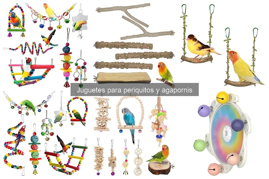 Problemas al elegir juguetes para periquitos: errores comunes