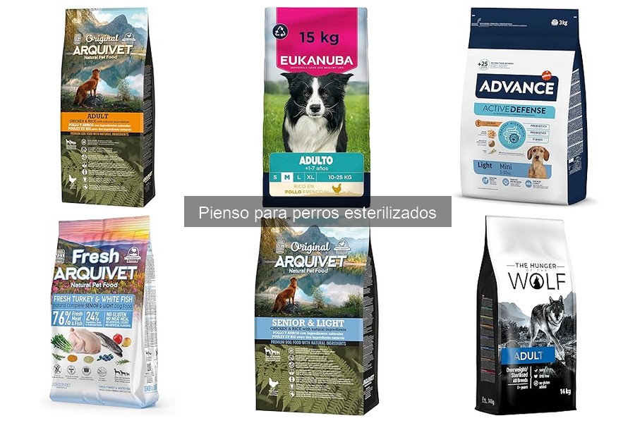 Problemas comunes al alimentar perros esterilizados