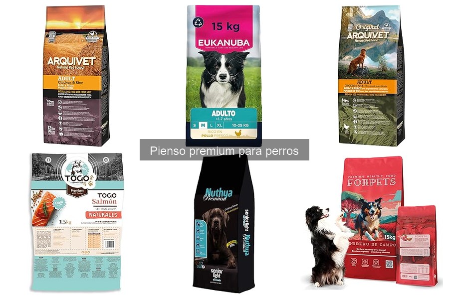 Problemas comunes al cambiar a un pienso premium para perros