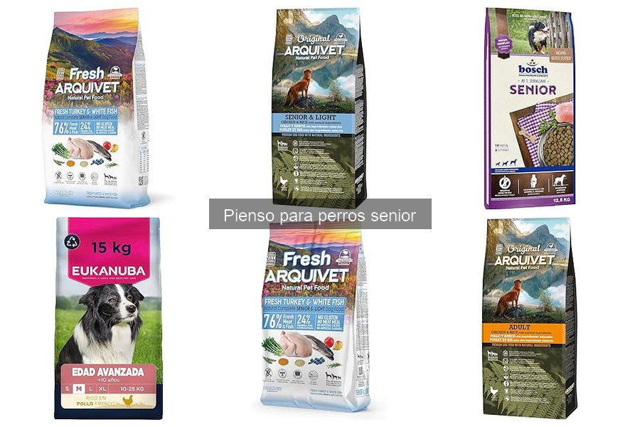 Problemas comunes al dar pienso inadecuado a perros senior