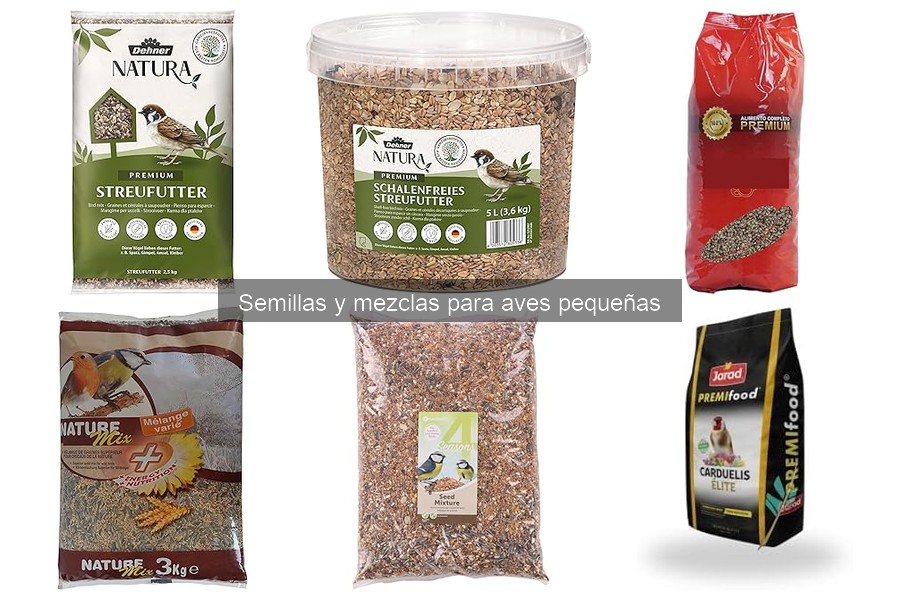 Problemas comunes al dar semillas a aves pequeñas