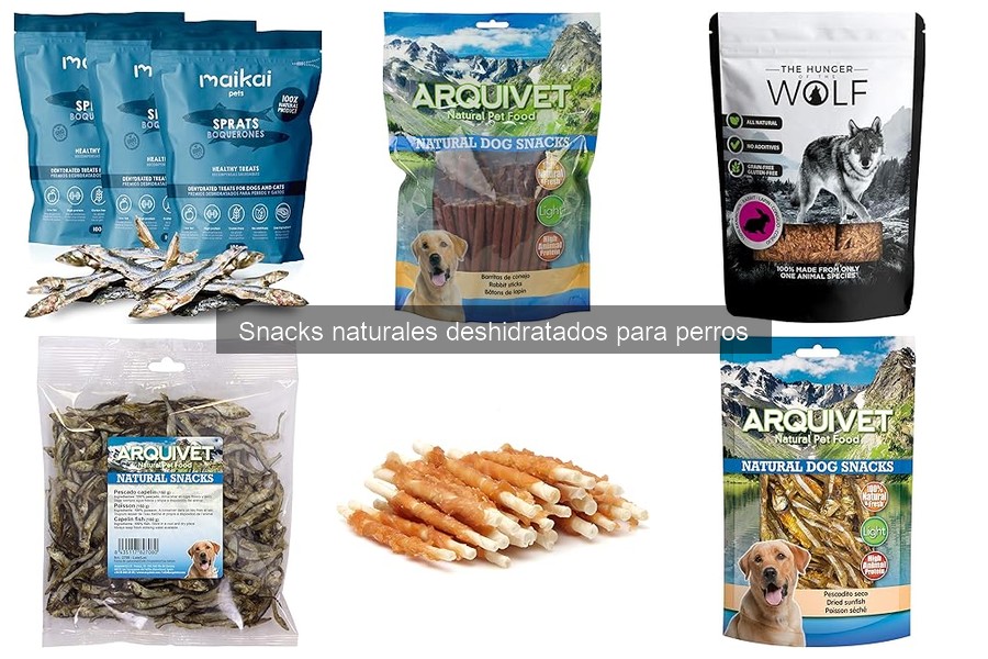 Problemas comunes al introducir snacks deshidratados para perros