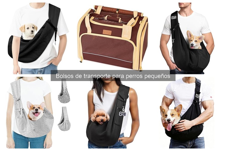 Problemas comunes al usar bolsos de transporte para perros pequeños