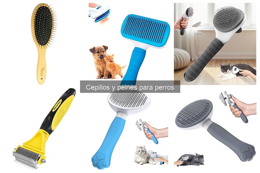 Problemas Comunes al Usar Cepillos para Perros