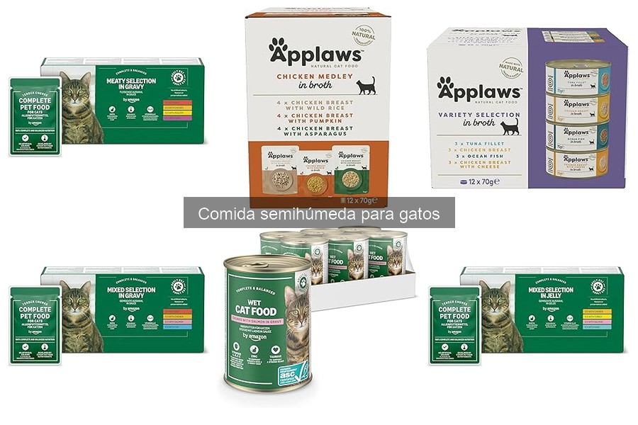 Problemas comunes al usar comida semihúmeda para gatos
