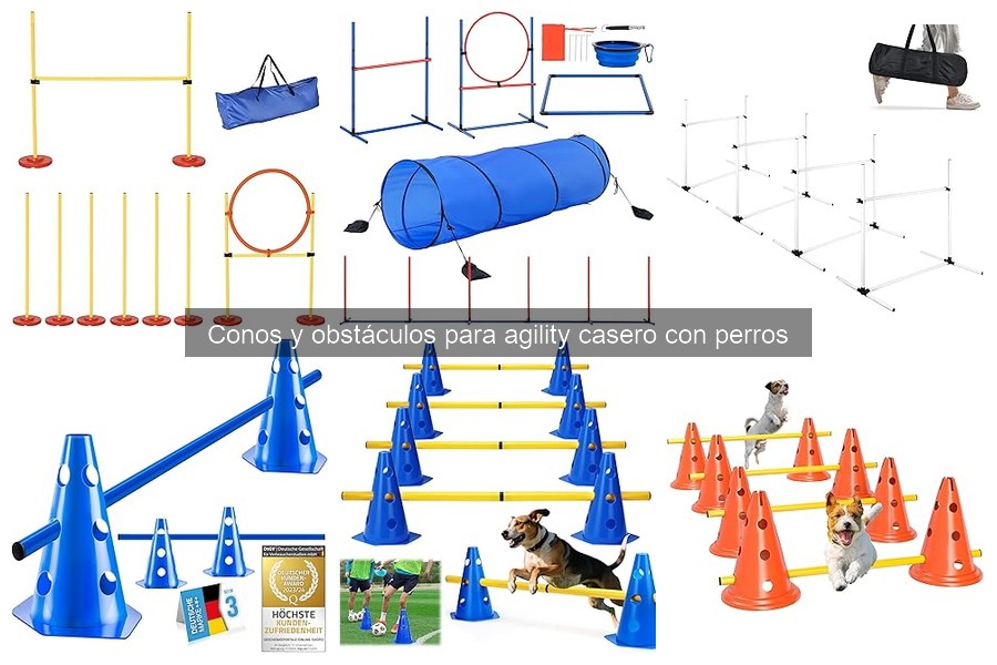 Problemas comunes al usar conos en agility para perros