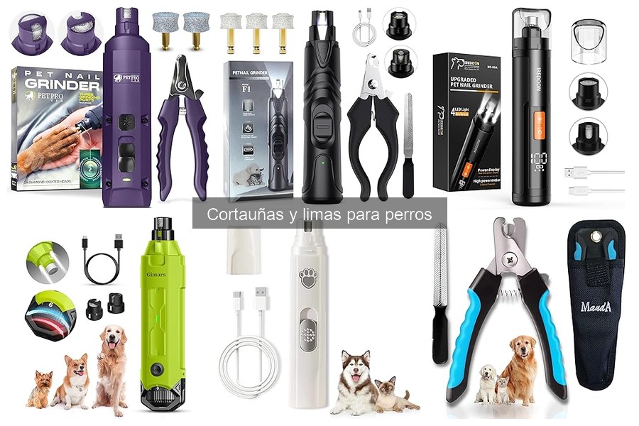 Problemas comunes al usar cortauñas para perros: ¡Evítalos!