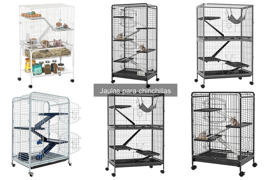 Problemas comunes al usar jaulas para chinchillas