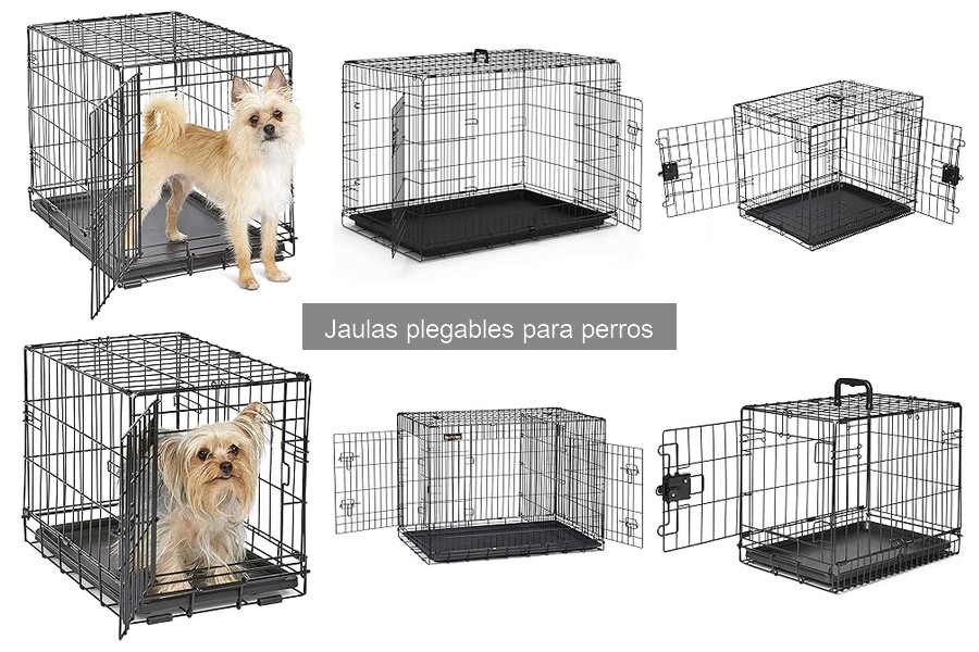 Problemas comunes al usar jaulas plegables para perros