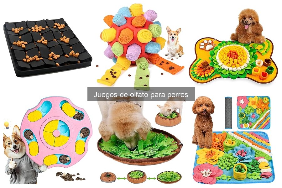 Problemas comunes al usar juegos de olfato para perros