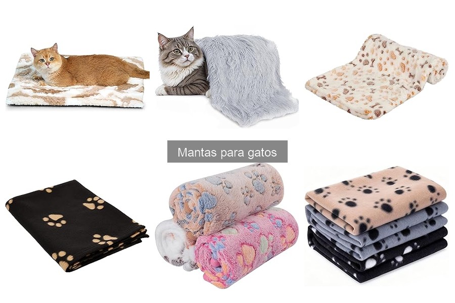 Problemas Comunes al Usar Mantas para Gatos