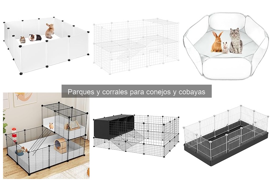 Problemas comunes al usar parques y corrales para conejos