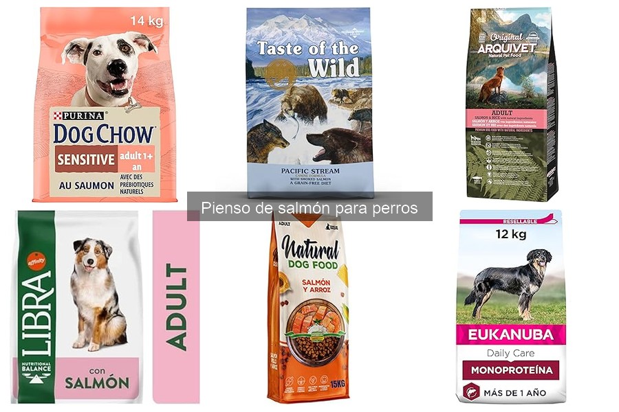 Problemas comunes al usar pienso de salmón para perros