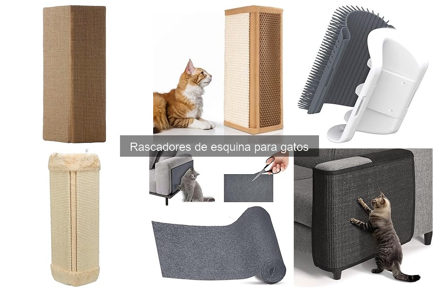 Problemas Comunes al Usar Rascadores de Esquina para Gatos