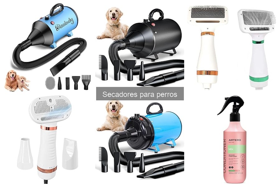 Problemas Comunes al Usar Secadores para Perros