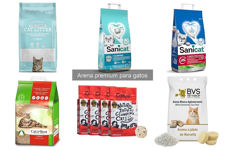 Problemas comunes con arena premium para gatos