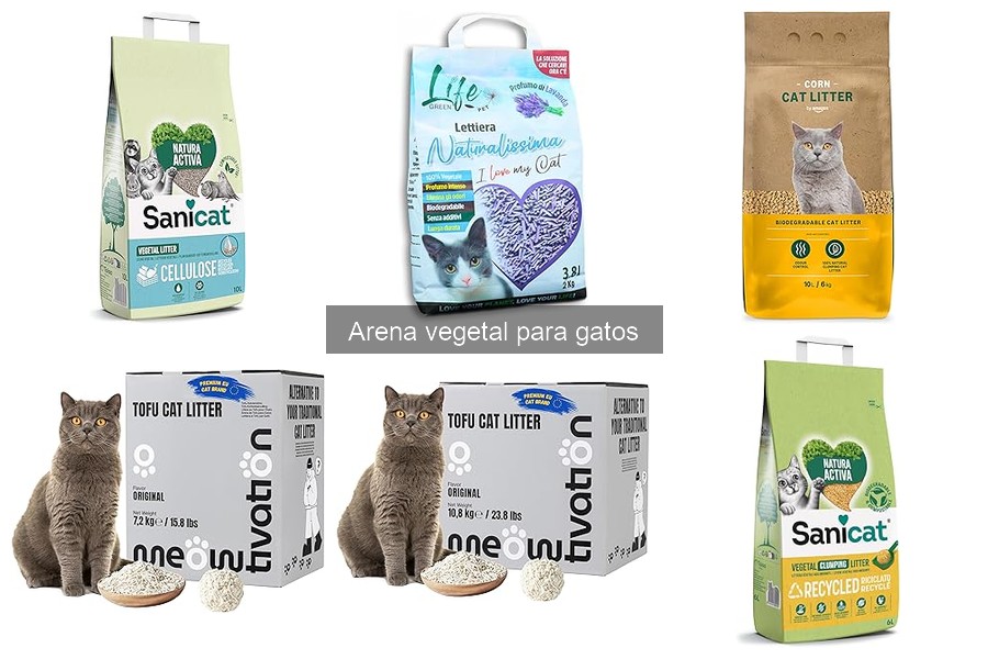 Problemas comunes con arena vegetal para gatos y soluciones