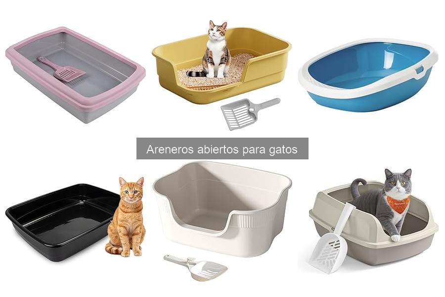 Problemas Comunes con Areneros Abiertos para Gatos