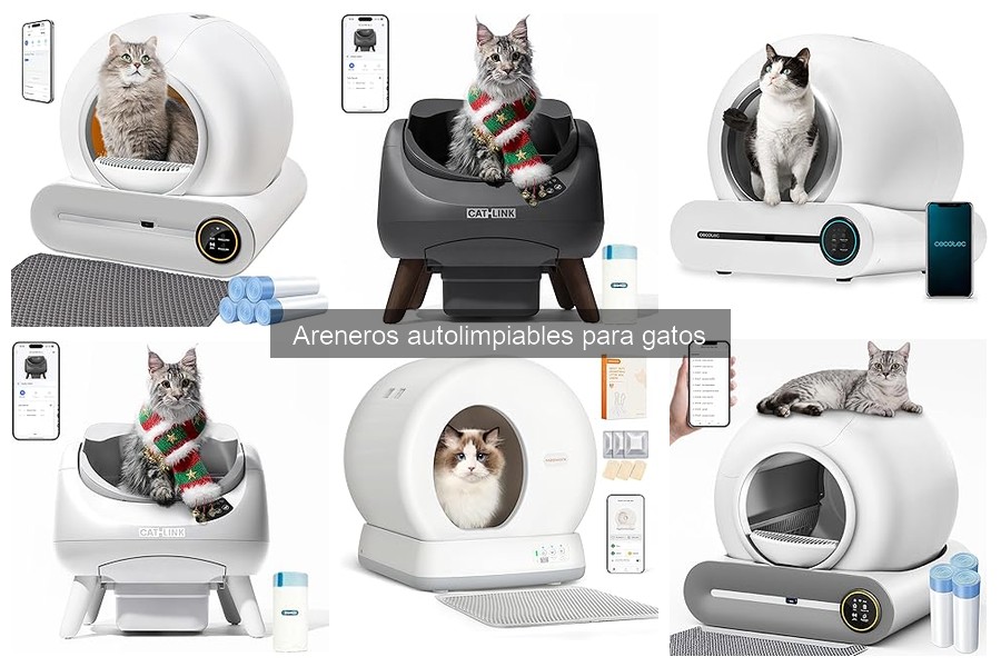 Problemas Comunes con Areneros Autolimpables para Gatos