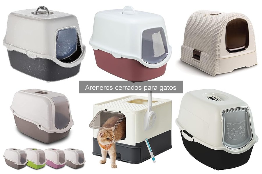 Problemas comunes con areneros cerrados para gatos y soluciones