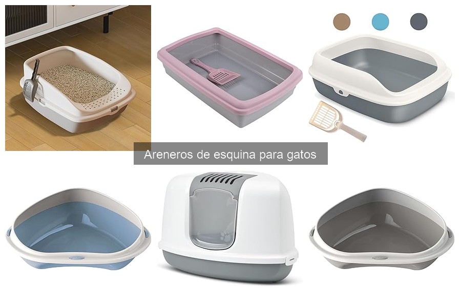 Problemas comunes con areneros de esquina para gatos y soluciones