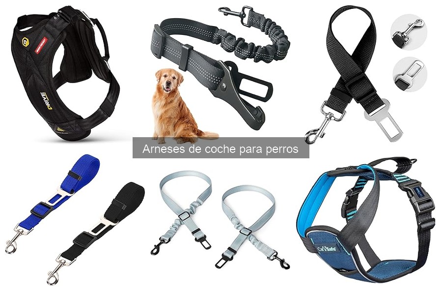 Problemas comunes con arneses de coche para perros y soluciones
