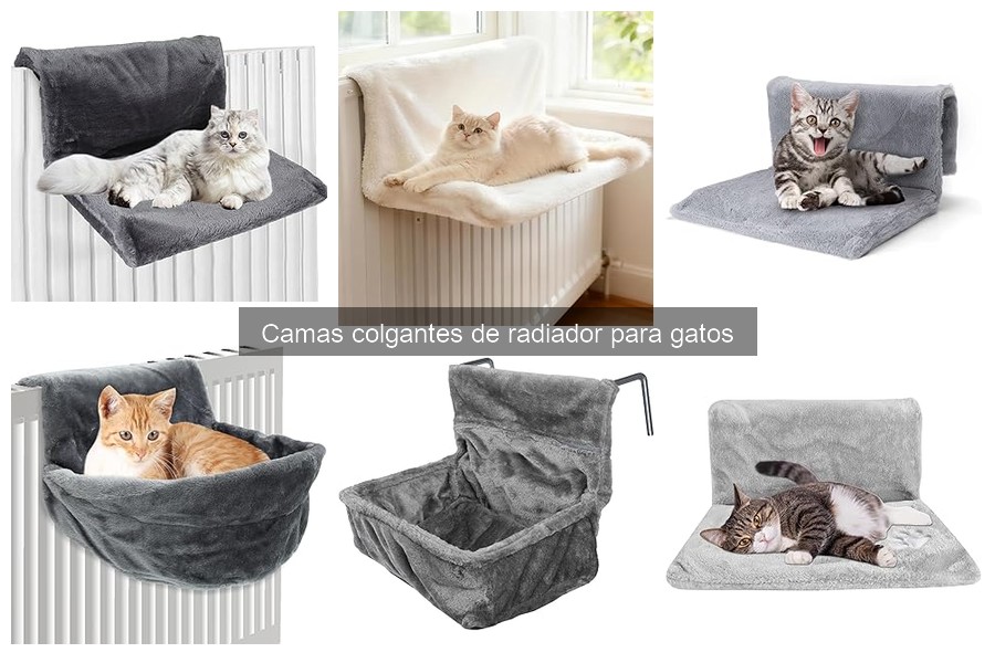 Problemas comunes con camas colgantes de radiador para gatos