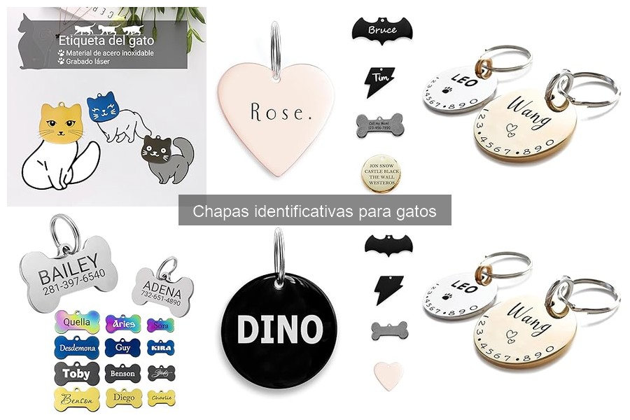 Problemas comunes con chapas identificativas para gatos