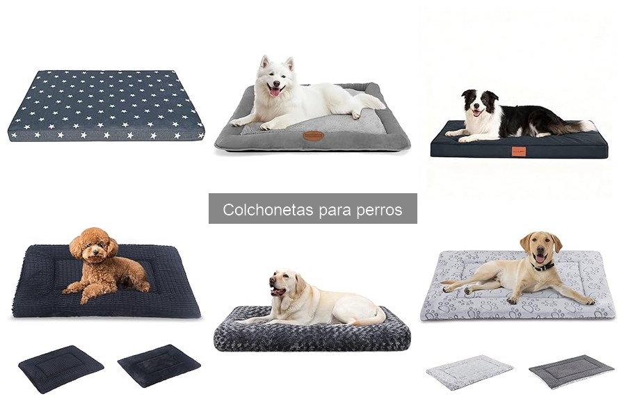 Problemas comunes con colchonetas para perros y soluciones