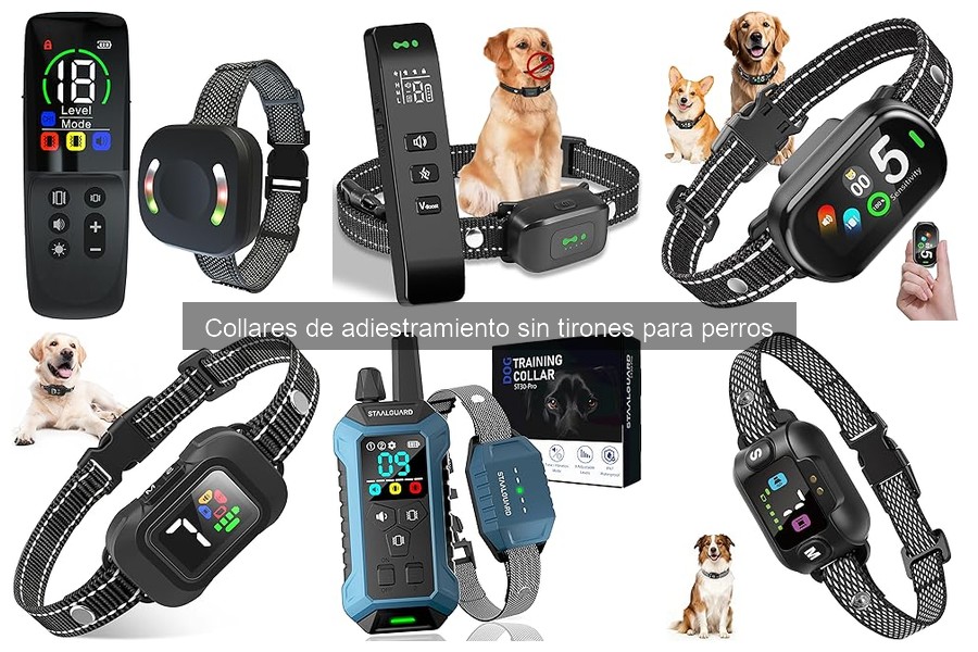 Problemas comunes con collares de adiestramiento sin tirones