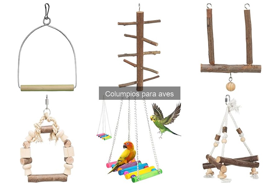 Problemas comunes con columpios para aves y sus soluciones