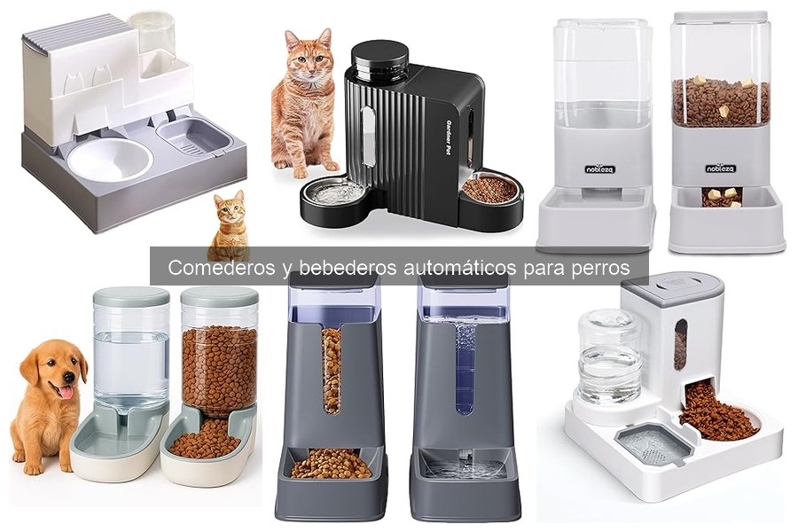 Problemas comunes con comederos automáticos para perros
