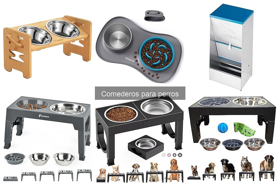 Problemas comunes con comederos para perros y soluciones