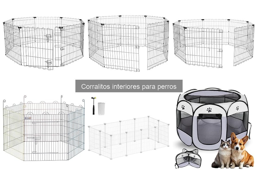 Problemas comunes con corralitos interiores para perros