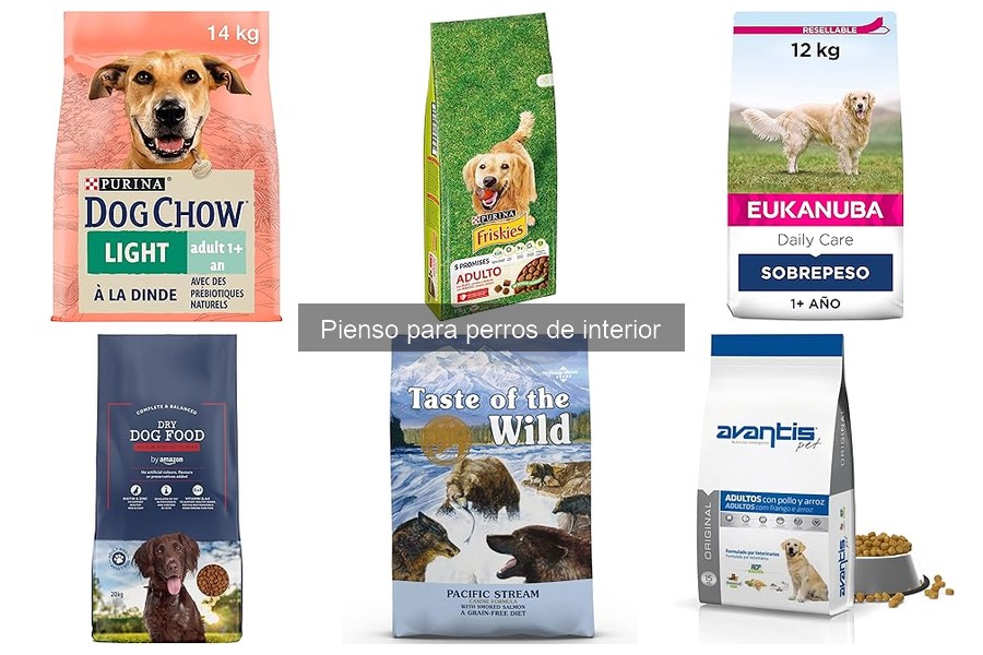 Problemas Comunes con el Pienso para Perros de Interior