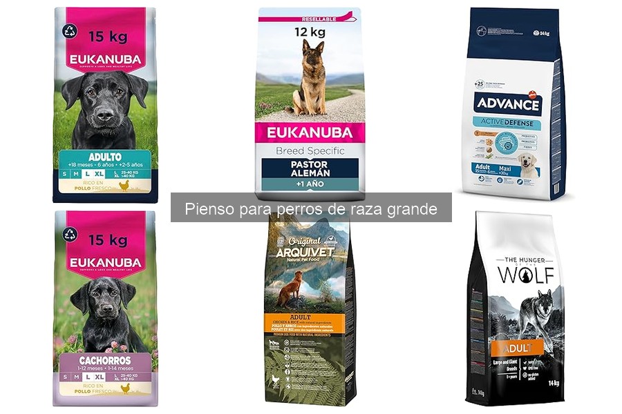 Problemas comunes con el pienso para perros de raza grande