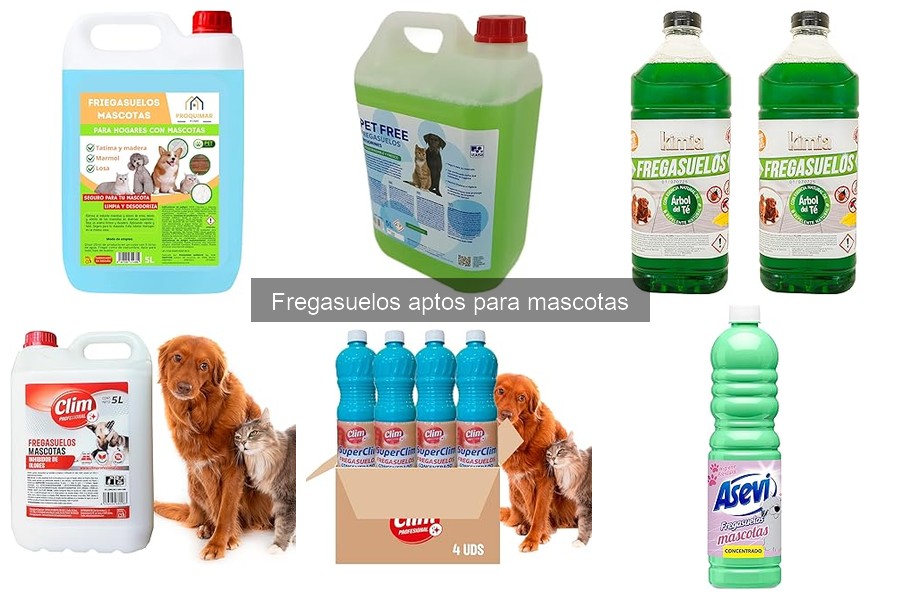 Problemas Comunes con Fregasuelos para Mascotas