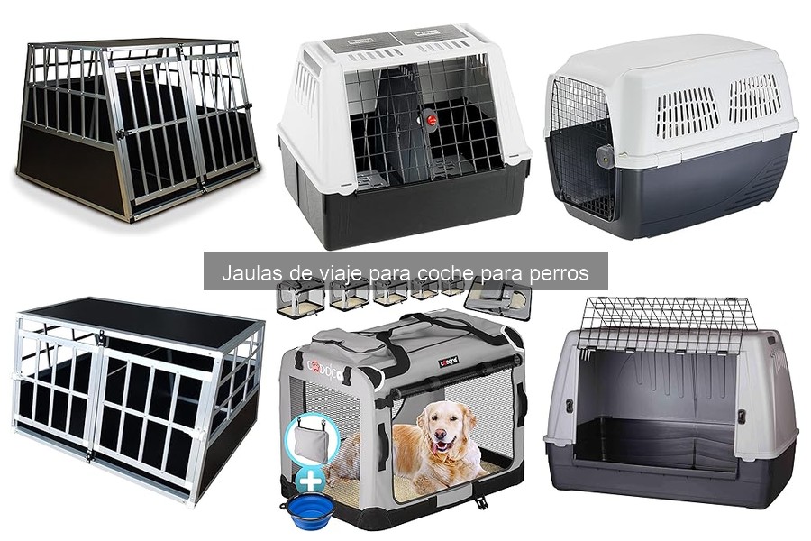 Problemas comunes con jaulas de viaje para perros y soluciones