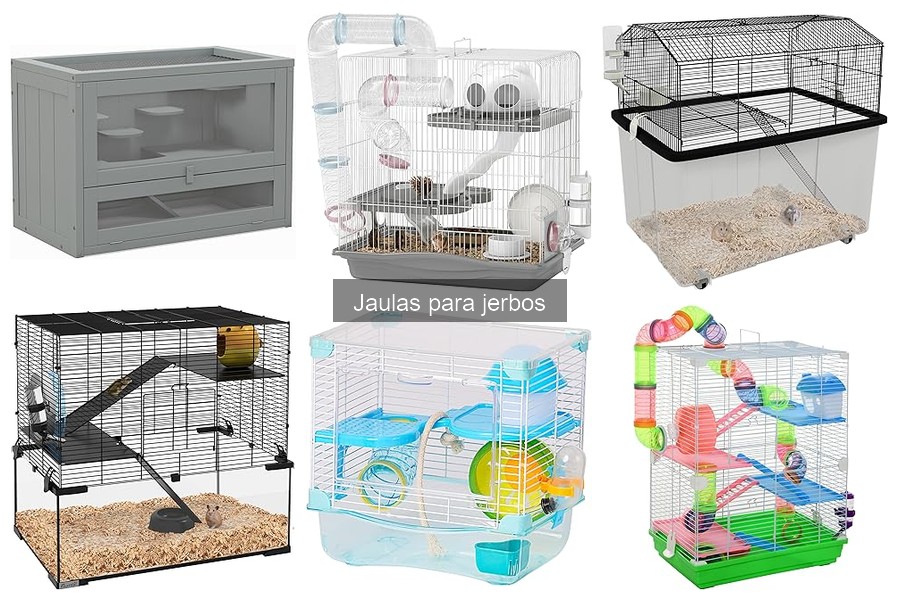 Problemas comunes con jaulas para jerbos y sus soluciones