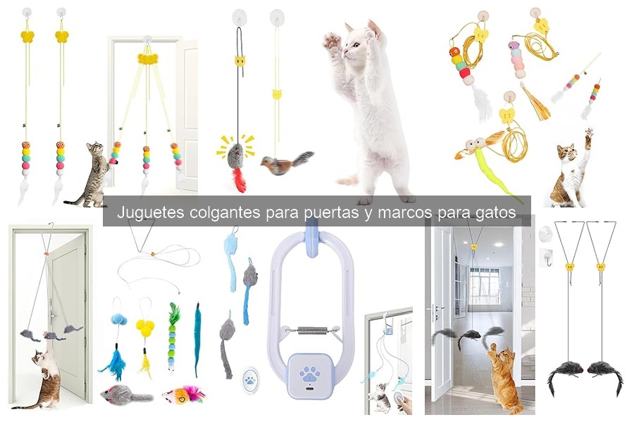 Problemas comunes con juguetes colgantes para gatos