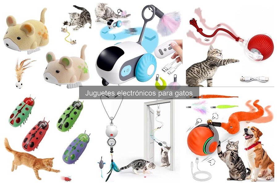 Problemas comunes con juguetes electrónicos para gatos