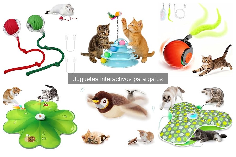 Problemas comunes con juguetes interactivos para gatos y soluciones