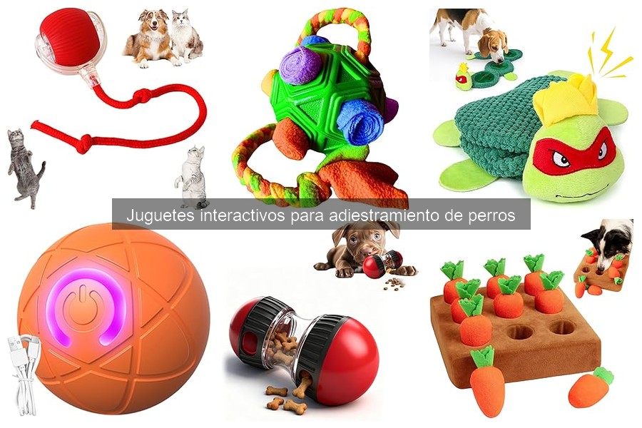Problemas Comunes con Juguetes Interactivos para Perros