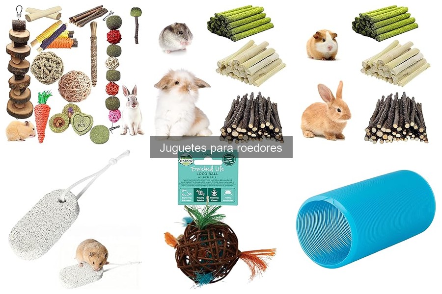 Problemas comunes con juguetes para roedores y soluciones
