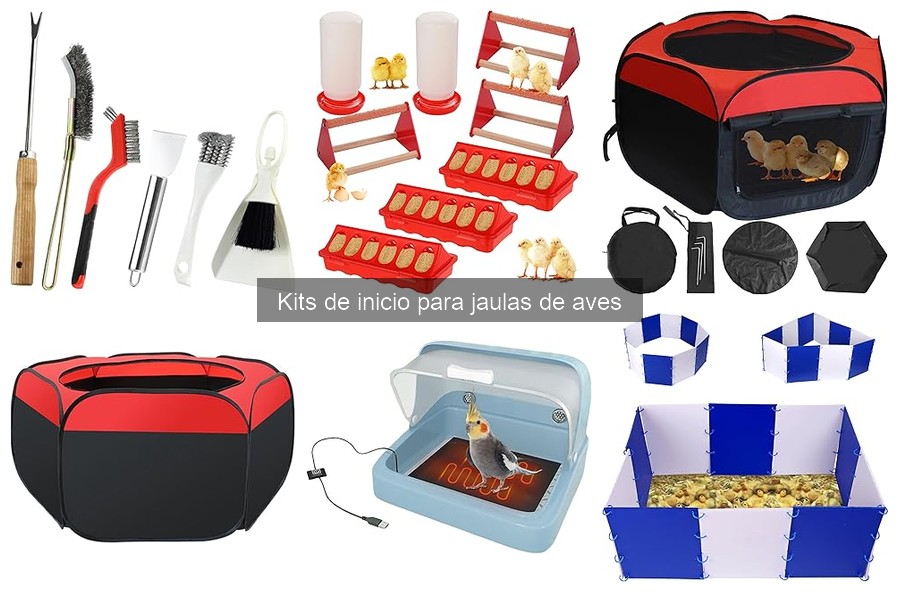 Problemas Comunes con Kits de Inicio para Jaulas de Aves