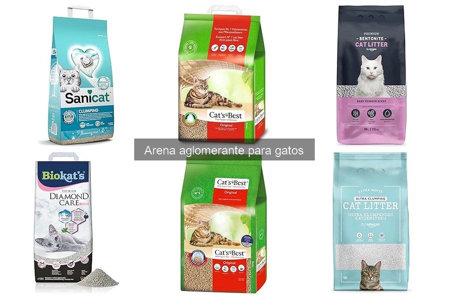 Problemas Comunes con la Arena Aglomerante para Gatos