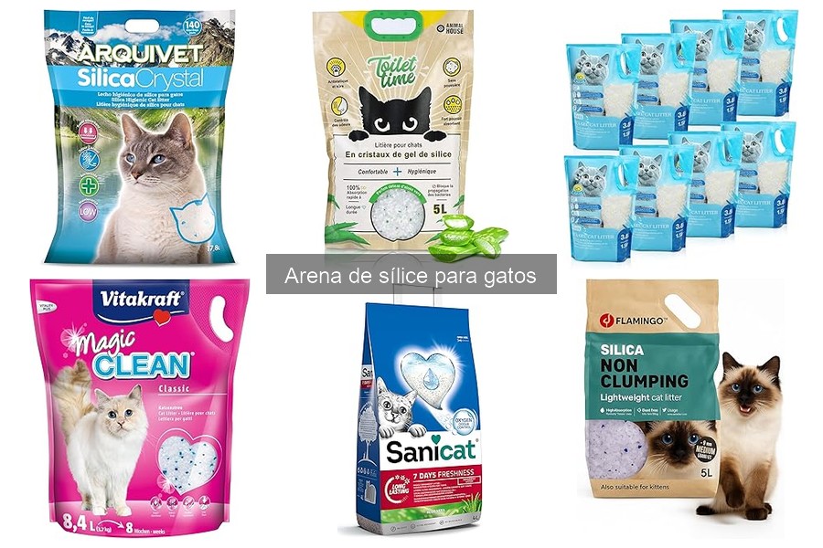 Problemas comunes con la arena de sílice para gatos y soluciones
